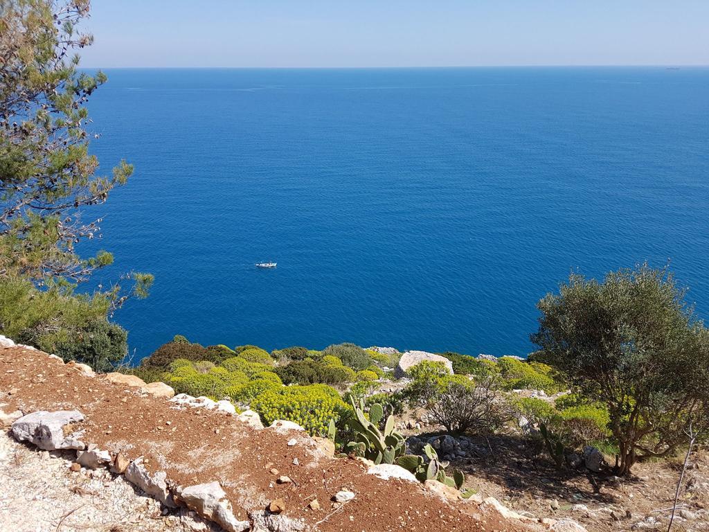 Villa Bocca Del Pozzo Gagliano del Capo Exterior foto